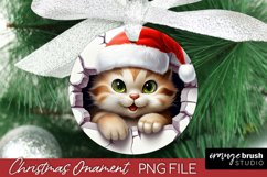 3D Christmas Ornament Sublimation, Smashed Wall Cat Ornament