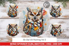Wind Spinner 3D Owl Painting Product Image 1