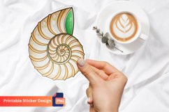 3D Seashell Sticker, Nautical Wall Art, Beach Decorations Product Image 1