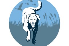 trained Retriever dog with bird Product Image 1