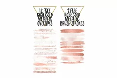 Nude Watercolor Brush Strokes with free rose gold elements Product Image 3