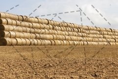 cylindrical rolls of straw Product Image 1