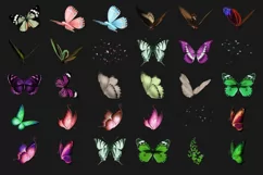 200 BUTTERFLIES TRANSPARENT PNG FILES, PHOTOSHOP OVERLAYS Product Image 11