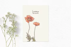Watercolor poppy flower clipart | Watercolor floral clipart Product Image 4
