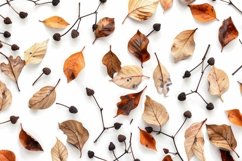 Autumn Leaves on White Background Wallpaper Product Image 1