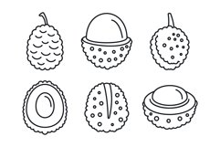 Asian lychees icons set, outline style Product Image 1
