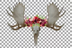 Floral Moose Skull watercolor clip art, Indian Tribal Moose Product Image 2