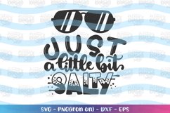Summer svg Just a little bit salty clipart Product Image 1