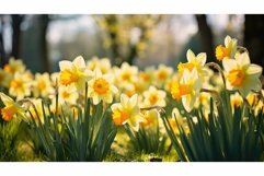 vibrant fresh spring background Product Image 1