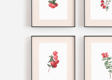 Cranberry Watercolor Clipart Bundle.18 PNG Elements. Product Image 3