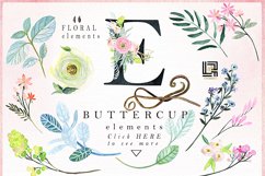 Buttercups. Ranunculus soft pink. Product Image 3
