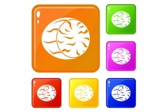 Half of nutmeg icons set vector color Product Image 1