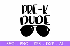 SALE! Pre-k dude svg, back to school svg, 1st day of school Product Image 2
