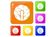 Fresh slice of broccoli icons set vector color Product Image 1
