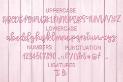 Web Font Adrielle - A Hand-Written Script Font Product Image 8