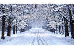 cold snowy driveway Product Image 1