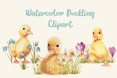 Watercolor Spring Duckling Clipart PNG, Seamless Patterns Product Image 1