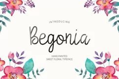 Begonia - Free Font of The Week Product Image 1