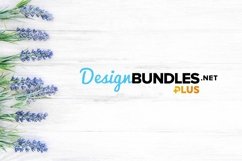 Lavender flowers on wooden background stock photo Product Image 1