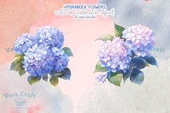 Hydrangea Flowers Watercolor Sublimation Clipart Product Image 4