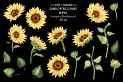 Sunflower clipart. Watercolor flower. Summer floral PNG Product Image 3