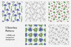 Irises and Columbine - spring flowers clipart and patterns Product Image 6