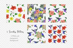 Hummingbirds and Tropical Flowers SVG Clipart & Patterns Product Image 8