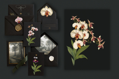 Hand drawn vector orchids Product Image 5