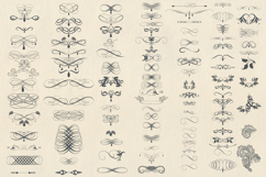 Bundle of vector vintage flourishes Product Image 3