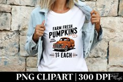 Farm Pumkin PNG Product Image 4