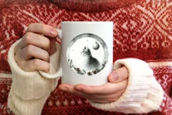 Cat Christmas Ornament Sublimation PNG Product Image 1