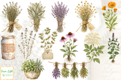 Botanical Apothecary Clipart, Vintage Junk Journal Ephemera Product Image 3