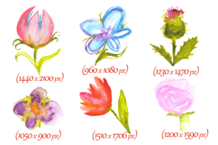 Quirky watercolor flowers Product Image 3