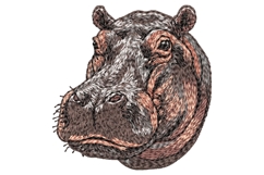 Hippopotamus Product Image 1