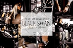 12 Black Swan Photoshop Action, Moody Mobile Preset, Noir Product Image 1