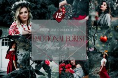 12 Photoshop Actions, Emotional Forest Ps Action, Jungle Product Image 1