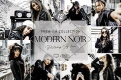 12 Modern Noir Photoshop Actions, Winter Fashion ACR Preset, Product Image 1