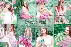 12 Mobile Lightroom Presets, Sweet Spring Preset, Bright Product Image 1