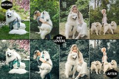 14 Dreamy Rustic Photoshop Actions And ACR Presets Product Image 9
