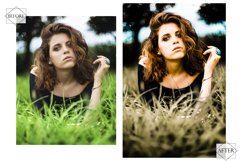12 Attractive Sage Photoshop Actions, Spring ACR Preset, Product Image 2