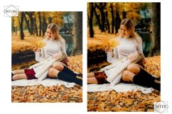 12 Autumn Fades Lightroom Presets, Fall Preset, Orange Moody Product Image 2