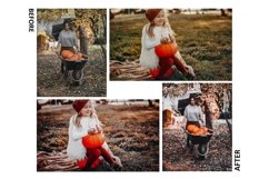 12 Thanksgiving Photoshop Actions And ACR Presets, Black Product Image 3