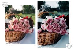 12 Photoshop Actions, Emotional Forest Ps Action, Jungle Product Image 3