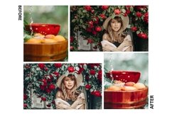 10 Mobile Lightroom Presets, Watermelon Preset, Sharp Moody Product Image 5