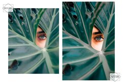 12 Attractive Sage Photoshop Actions, Spring ACR Preset, Product Image 4