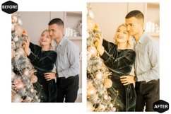 10 Golden Xmas Photoshop Actions And ACR Presets Product Image 6