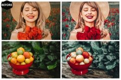 10 Watermelon Mobile &amp; Desktop Lightroom Presets, Crispy Product Image 8