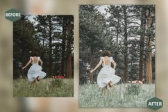 12 Nature Awaits Photoshop Actions And ACR Presets, Picnic Product Image 4
