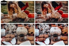 12 Thanksgiving Photoshop Actions And ACR Presets, Black Product Image 4
