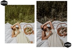 12 Grove Enticing Photoshop Actions And ACR Presets, Green Product Image 4